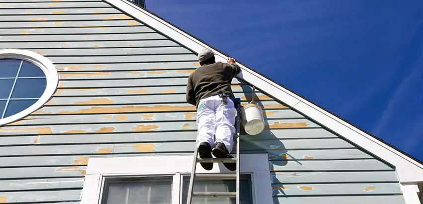 Professional Roof and Siding Repair Services in Elmhurst, IL