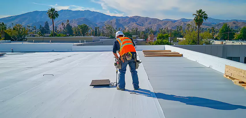 Professional Roof Coating Services in Elmhurst, IL